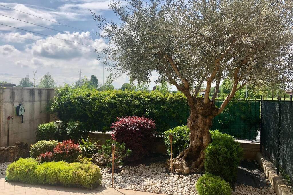 Appartamento La Casa Di Leo Montichiari